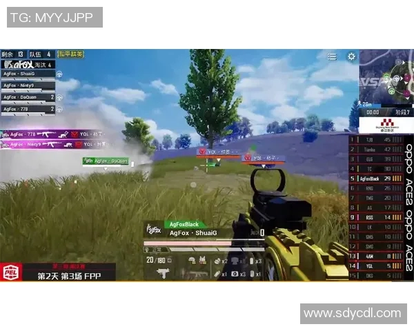 和平精英战术解析聚焦RNG团队协作与配合策略的深度剖析 和平精英战术解析聚焦RNG团队协作与配合策略的深度剖析