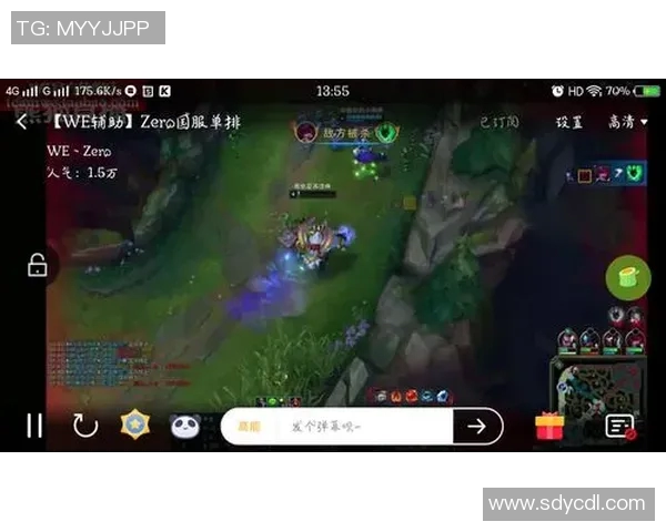 电竞实时数据分析引发热议WE比赛经验争议背后的深层原因探讨