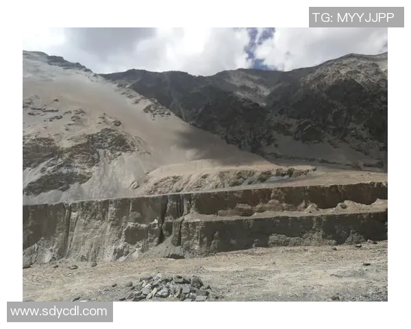 刘军畅谈英雄联盟职业生涯的成长与挑战之路