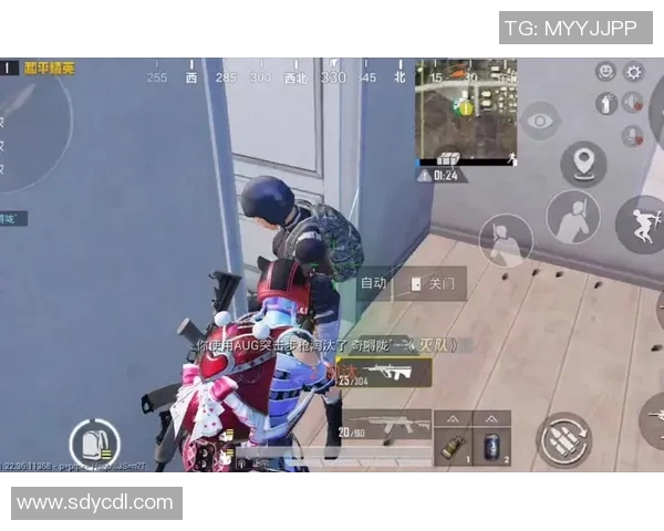 电竞女将陈丽专访回顾和平精英成长之路与赛事精彩瞬间 电竞女将陈丽专访回顾和平精英成长之路与赛事精彩瞬间